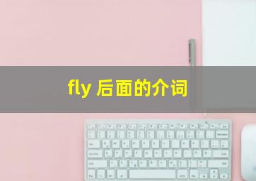 fly 后面的介词